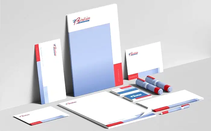 Birikim Pilleri Kurumsal Kimlik Kılavuz Tasarım 