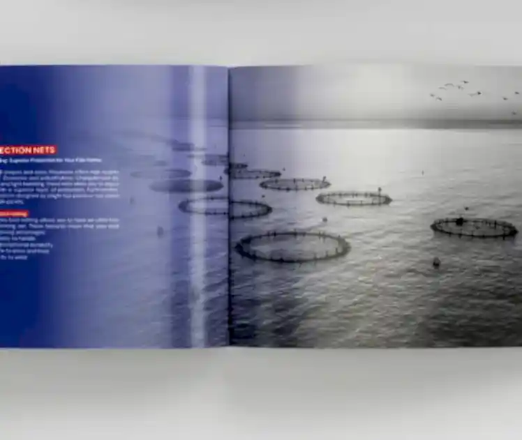 Mayasera Katalog Tasarımı