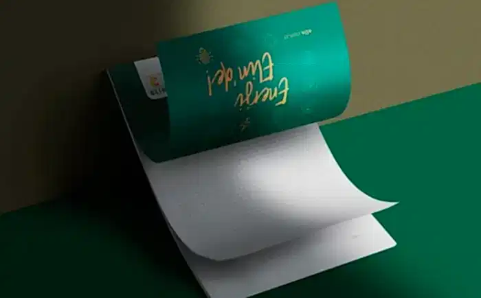 Elin Enerji Logo Tasarım Ajansları 