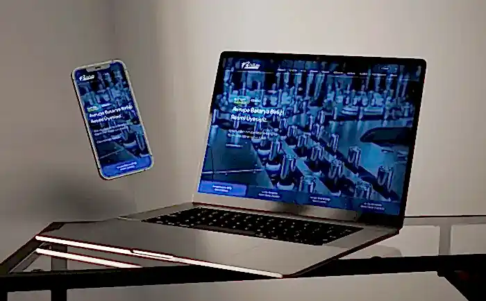 Birikim Pilleri Web Tasarım 