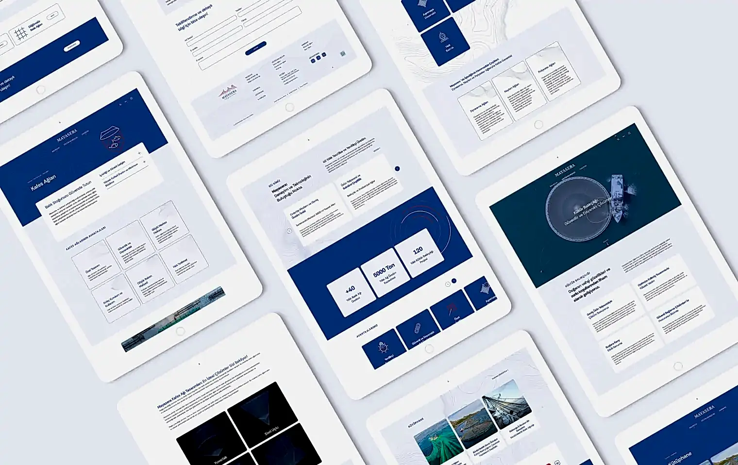 Mayasera Kurumsal Web Tasarım