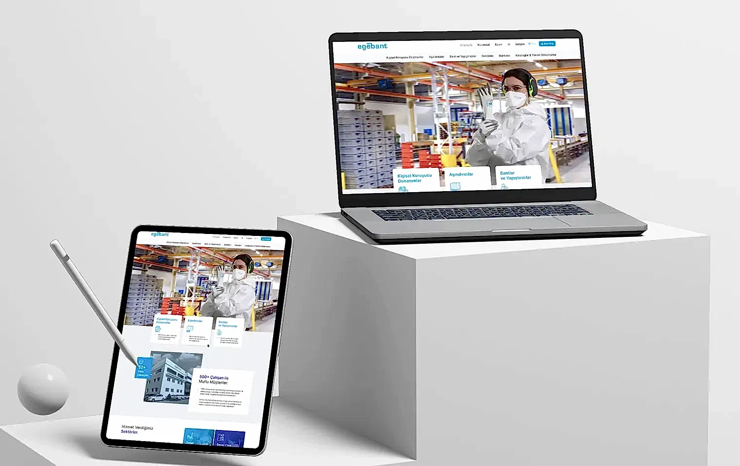 Egebant Web Tasarım