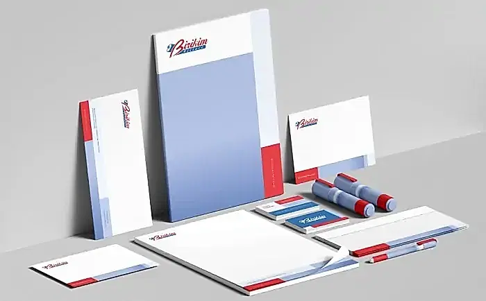 Birikim Piller Kurumsal Kimlik Tasarımı 